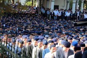 Alihan Kuriş suç örgütü operasyonu: 29 gözaltı kararı ve 23 şirkete kayyum
