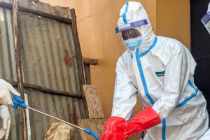 Kongo'da Ebola salgını 63 sağlık bölgesine yayıldı