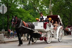 New York, atlı fayton seferlerini 2028'de sona erdirecek