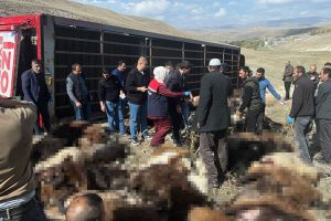 Tekman’da devrilen hayvan yüklü tırda 130 küçükbaş telef oldu