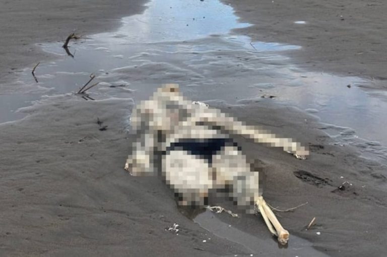 Terme sahilinde bulunan insan iskeleti için kimlik incelemesi