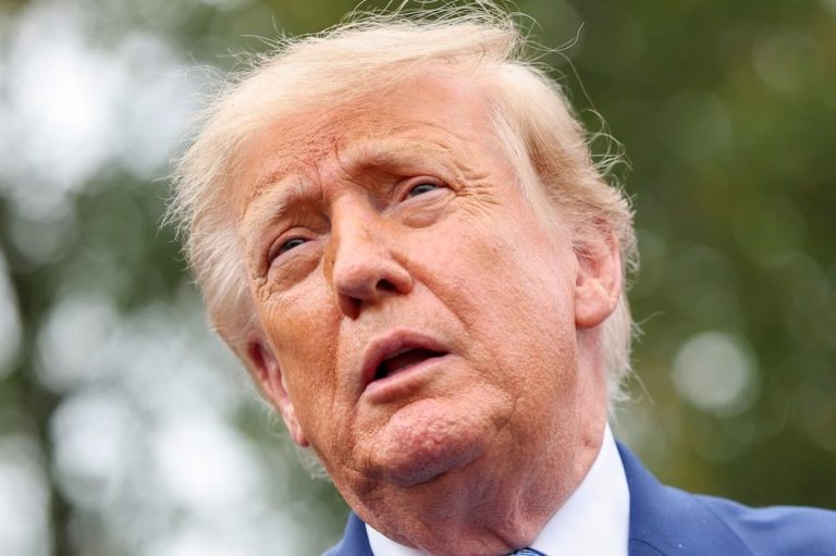 Trump seçmenlerinde ara seçim heyecanı Harris seçmenlerinin gerisinde